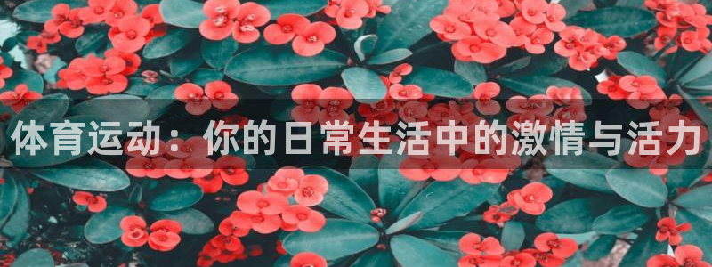 一竞技官方正版app科技