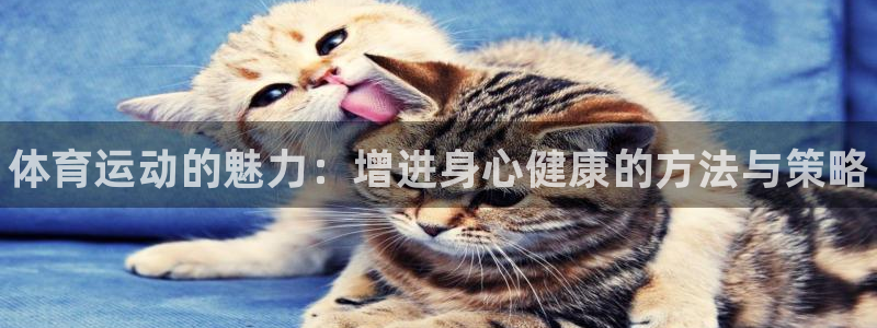一竞技官方正版app娱乐是那个系列的台子：体育运动的