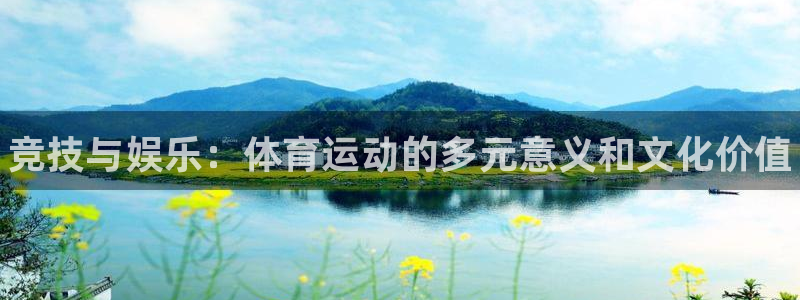 一竞技官方正版app娱乐：竞技与娱乐：体育运动的多元