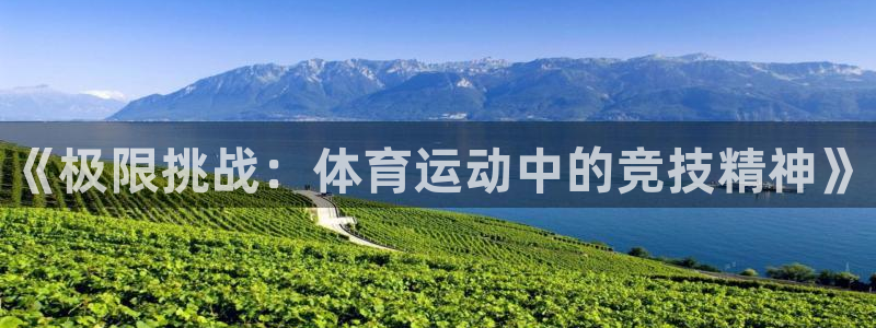 一竞技官网下载官方客服电话：《极限挑战：体育运动中的