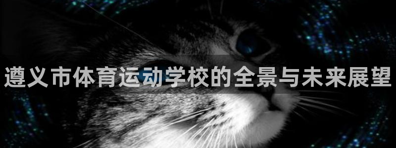 一竞技官网下载：遵义市体育运动学校的全景与未来展望