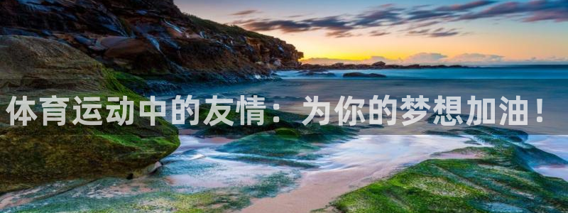 一竞技官网下载官方客服电话：体育运动中的友情：为你的