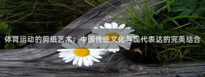 海南一竞技官网下载发展怎么样：体育运动的剪纸艺术：中