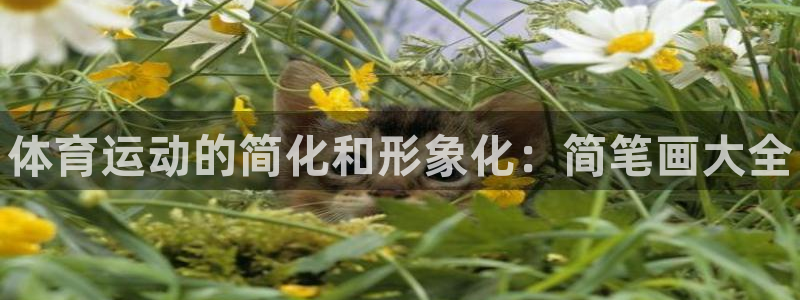 一竞技官网下载平台假的吗是真的吗：体育运动的简化和形