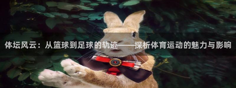 一竞技官网下载平台APP：体坛风云：从篮球到足球的轨