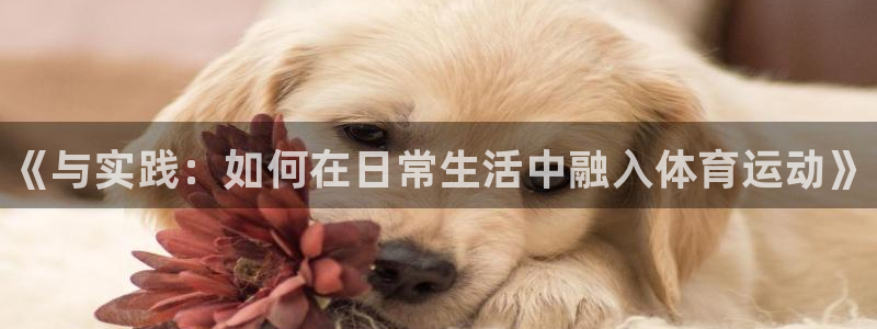 一竞技官网下载招商：《与实践：如何在日常生活中融入体育运动》