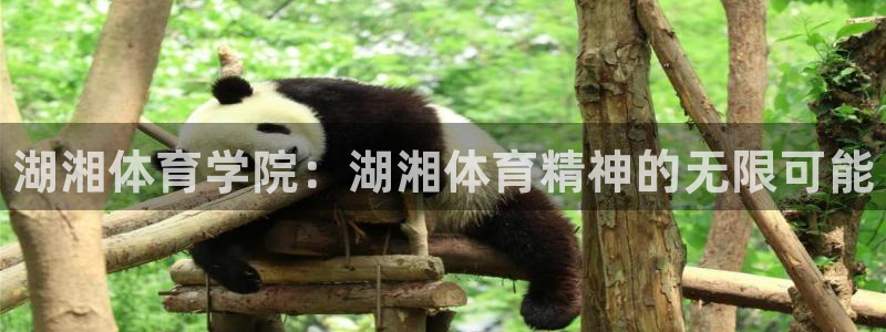 一竞技官网下载平台：湖湘体育学院：湖湘体育精神的无限