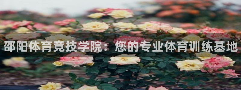 一竞技官网下载平台假的吗是真的吗：邵阳体育竞技学院：您的专业