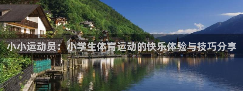 一竞技官方正版app集团logo：小小运动员：小学生体育运动