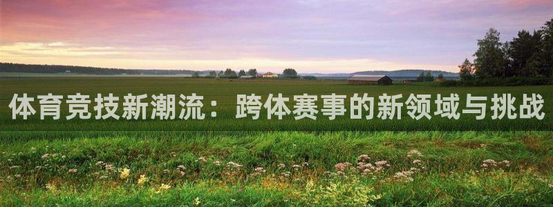 一竞技官网下载招商电话号码是多少：体育竞技新潮流：跨体赛事的