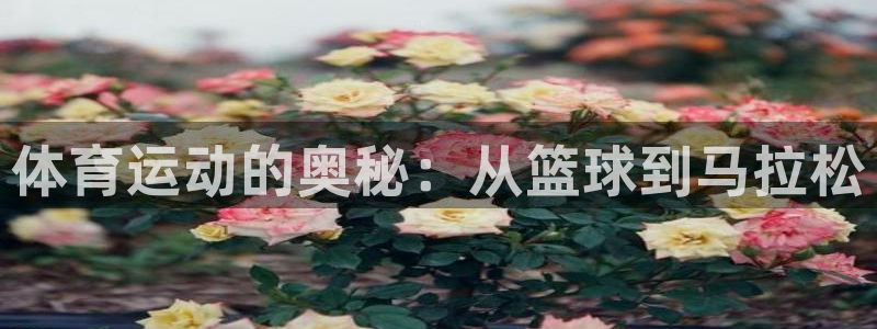 一竞技官方正版app娱乐平台：体育运动的奥秘：从篮球到马拉松