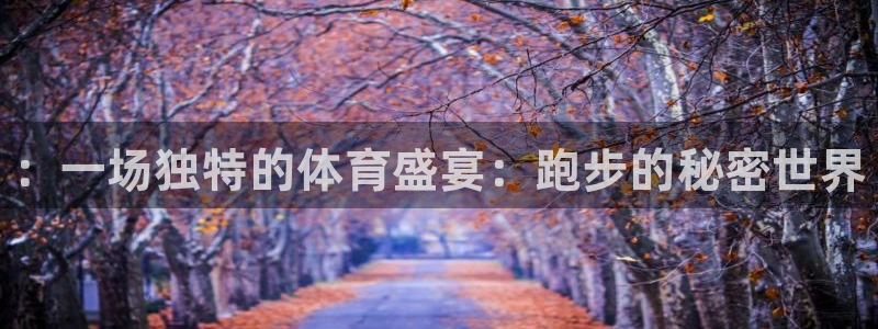 一竞技官方正版app集团官网首页网址：：一场独特的体育盛宴：