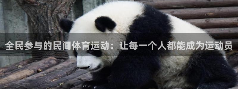 一竞技官网下载平台注册流程视频：全民参与的民间体育运