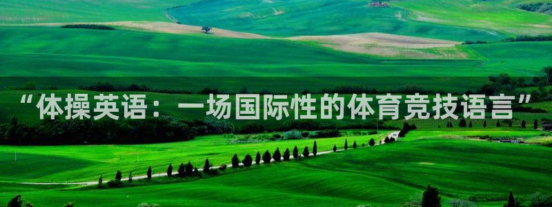 一竞技官方正版app集团E.ON：“体操英语：一场国际性的体