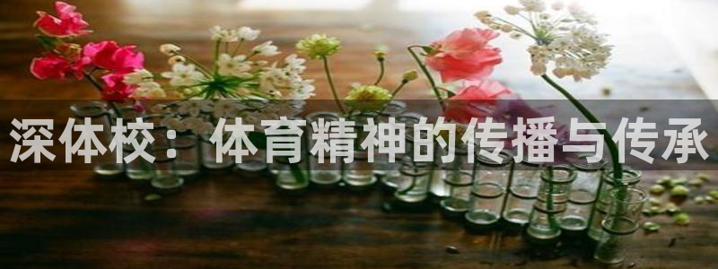 一竞技官方正版app集团官网首页