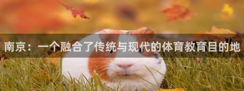 一竞技官网下载平台注册流程图