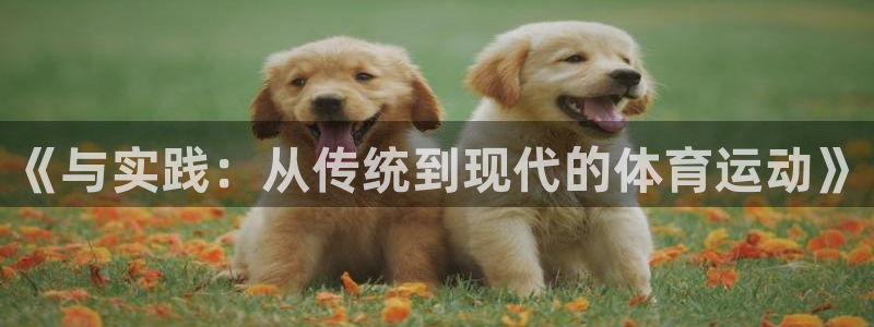 一竞技官网下载开户：《与实践：从传统到现代的体育运动