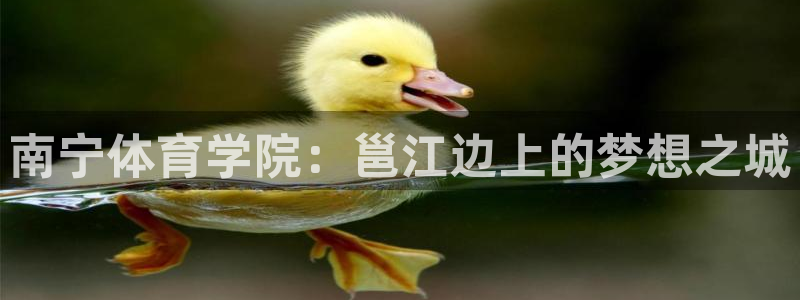 一竞技官方正版app官方：南宁体育学院：邕江边上的梦想之城
