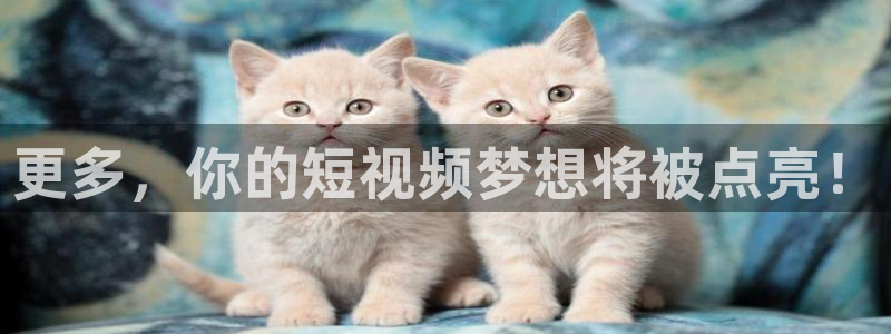 足球直播吧录像：更多，你的短视频梦想将被点亮！