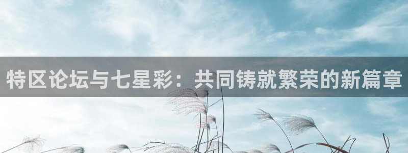 jrs 直播吧：特区论坛与七星彩：共同铸就繁荣的新篇章