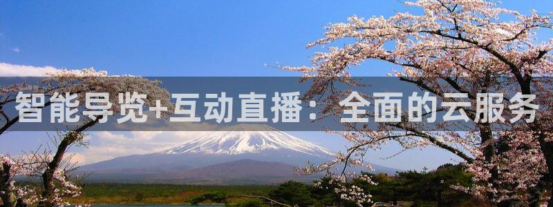 直播吧广东体育：智能导览+互动直播：全面的云服务