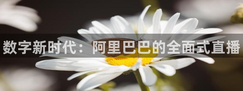 体育直播吧官网：数字新时代：阿里巴巴的全面式直播