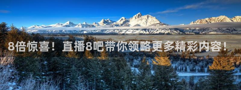 nba直播吧在线直播观看jrs：8倍惊喜！直播8吧带你领略更多精彩内容！