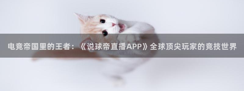 \'nba直播吧：电竞帝国里的王者：《说球帝直播APP》全球顶尖玩家的竞技世界