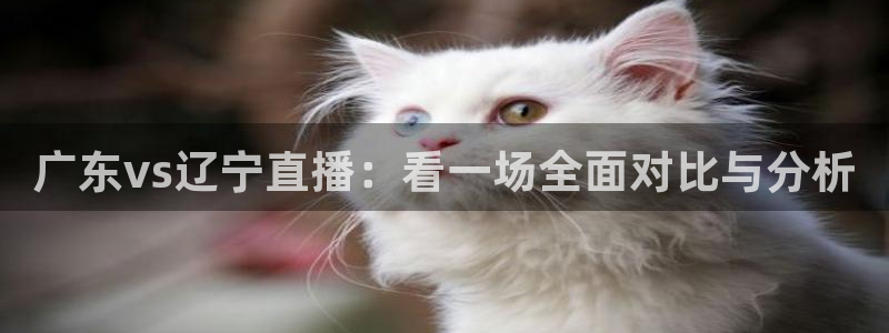 jrs无插件体育直播吧：广东vs辽宁直播：看一场全面对比与分析