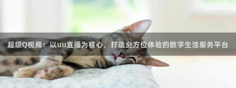 98直播nba直播吧：超级Q视频：以uu直播为核心，打造全方位体验的数字生活服务平台