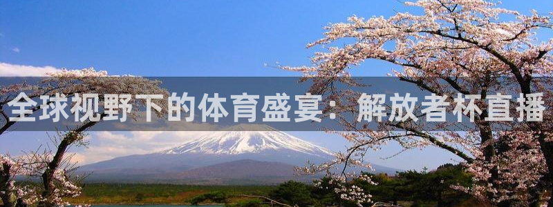 98斯诺克直播吧：全球视野下的体育盛宴：解放者杯直播