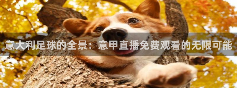 斯诺克直播吧第一直播网：意大利足球的全景：意甲直播免费观看的无限可能