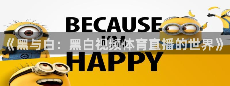 58体育直播吧：《黑与白：黑白视频体育直播的世界》